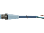 Cable with open-ended wires – CAM12.A3-11232826 – CAM12.A3-11230883 – CAM12.A3-11232827 – CAM12.A3-11230500 – CAM12.A3-11230884 – CAM12.A3-11232828 – CAM12.A3-11232829 – CAM12.A3-11232830 – CAM12.A4-11230378 – CAM12.A4-11232890 – CAM12.A4-11230956 – CAM12.A4-11232891 – CAM12.A4-11230456 – CAM12.A4-11230957 – CAM12.A4-11232892 – CAM12.A4-11232893 – CAM12.A4-11232894 – CAM12.A5-11233015 – CAM12.A5-11230983 – CAM12.A5-11233016 – CAM12.A5-11230447 – CAM12.A5-11230984 – CAM12.A5-11233017 – CAM12.A5-11233018 – CAM12.A5-11233019